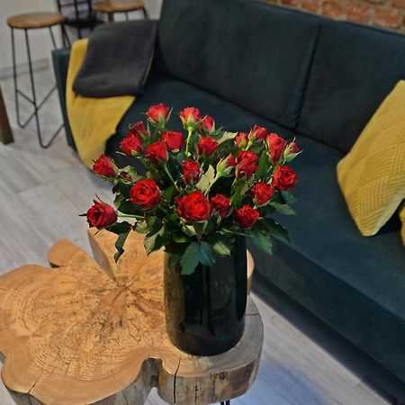 코시에르지나 Loft Maly 아파트 외부 사진
